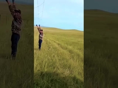 হট ডপ গ্যালভানাইজড গবাদি পশু বেড়া প্যানেল 8 ফুট উচ্চতা স্থায়ী গিঁট হরিণ তারের জাল বেড়া