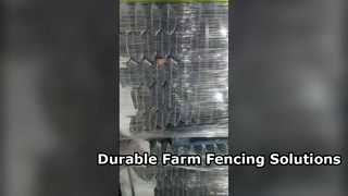 টেকসই 10 গেজ Galvanized চেইন লিঙ্ক বেড়া সমাধান