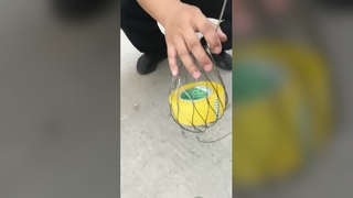 ডায়মন্ড চিড়িয়াখানা জাল শক্তিশালী স্টেইনলেস স্টীল দড়ি