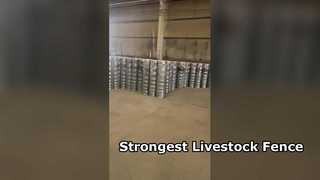 গবাদি পশুর ঘোড়ার জন্য শক্তিশালী পশুসম্পদ বেড়া