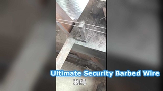 25 কেজি গ্যালভানাইজড কাঁটাতারের নিরাপত্তা বেড়া