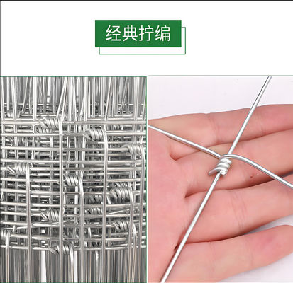 2.0MM High Tensile Strength Galvanized Wire Farm Cattle Fence For Vegetables Garden Netting Surface Treatment