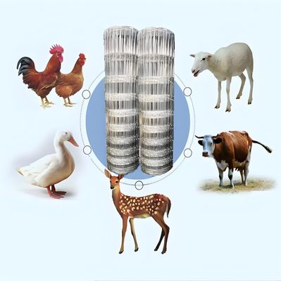 2.0MM উচ্চ প্রসার্য শক্তি গ্যালভানাইজড ওয়্যার ফার্ম গবাদি পশু বেড়া জন্য সবজি বাগান নেট পৃষ্ঠ চিকিত্সা